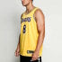 Фото #5 товара Футболка Nike SW 8 NBA Баскетбол Мужская Желтый