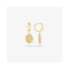 ფოტო #1 პროდუქტის RADIANT RY000051 earrings