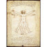 Фото #3 товара Puzzle Vitruvian Man 1000 Teile