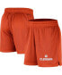 ფოტო #1 პროდუქტის Men's Orange Clemson Tigers Mesh Performance Shorts