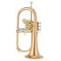 Фото #1 товара Yamaha YFH-631G Bb-Flugelhorn Pro Shop Series, Yellow Brass