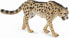 Фото #1 товара Фигурка Collecta Royal Cheetah 004-88608 Animal World (Мир Животных)