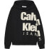 Фото #1 товара CALVIN KLEIN JEANS Blown Up Logo hoodie
