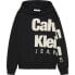 Фото #1 товара CALVIN KLEIN JEANS Blown Up Logo Hoodie