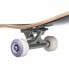 Фото #3 товара QUIKSILVER Flashback 8 Skateboard