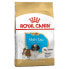 Фото #2 товара ROYAL CANIN Shih Tzu Puppy 500 g Dog Food