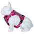 FREEDOG Boreal Harness