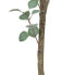 Decorative Plant Polyethylene Eucalyptus 80 x 82 x 180 cm