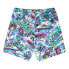 Фото #4 товара Element Chillin Hybrid shorts