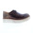 Фото #1 товара Bed Stu Elaine F395006 Womens Brown Leather Oxfords & Lace Ups Casual Shoes 6.5