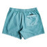Фото #4 товара QUIKSILVER Everyday Surfwash Volley 15 Swimming Shorts