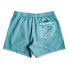 QUIKSILVER Everyday Surfwash Volley 15 Swimming Shorts