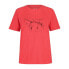 ფოტო #1 პროდუქტის MALOJA MarocazM short sleeve T-shirt