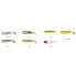 SAVAGE GEAR Cannibal Soft Lure 3g 68 mm 80 units