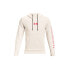 Фото #1 товара Under Armour Summit Knit Hoodie