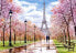Castorland Puzzle Romantic Walk in Paris 1000 elementów