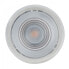 Фото #1 товара PAULMANN 92471 - Recessed lighting spot - 1 bulb(s) - LED - 6.3 W - 2700 K - Satin steel