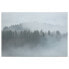 Фото #2 товара Leinwandbild Nebliger Misty Forest