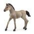 Фото #2 товара Schleich Horse Club Criollo Definitivo Foal Toy Figure 5 to 12 Years Brown