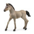 Schleich Horse Club Criollo Definitivo Foal Toy Figure 5 to 12 Years Brown