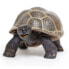 Фото #3 товара Фигура маленькой черепахи Safari Ltd. Животное - детёныш.