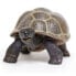 Фото #3 товара SAFARI LTD Tortoise Baby Figure