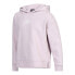 NEW BALANCE Nb Essentials Graphic Bb hoodie