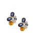 Фото #1 товара Women's Blue Color Stone Stud Earrings