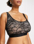 ASOS DESIGN Fuller Bust Caris lace scoop bra with logo elastic in black