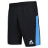 LE COQ SPORTIF 2321006 Training Sp N°2 sweat shorts