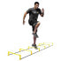 Фото #1 товара Спортивная тренировочная лестница SKLZ Elevation Ladder