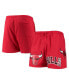 ფოტო #2 პროდუქტის Men's Red Chicago Bulls Mesh Capsule Shorts