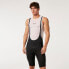 Фото #11 товара OAKLEY APPAREL Icon Classic bib shorts