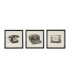 Фото #7 товара Vintage Models 3-Piece Framed Wall Art Set