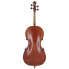 Фото #4 товара Walter Mahr Cello Stradivari Ash Wood 4/4