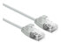 Фото #2 товара ROLINE 21.15.3902 - 0.5 m - Cat6a - U/UTP (UTP) - RJ-45 - RJ-45