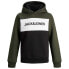 Фото #3 товара JACK & JONES Logo Blocking hoodie