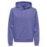 Фото #1 товара ONLY & SONS Connor Reg Hoodie