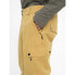 ARMADA Corwin 2L Pants