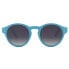 ფოტო #1 პროდუქტის SKULL RIDER Blueberry Cake Sunglasses