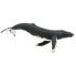 Фото #1 товара SAFARI LTD Humpback Whale Figure