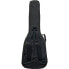 Ritter Arosa Acoustic Bass SBK