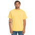 QUIKSILVER The Natural Dye short sleeve T-shirt