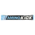 Фото #1 товара NutraBio, Amino Kick, голубая малина, 1 пакетик, 9 г (0,32 унции)