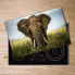 Фото #2 товара Schneidebrett Elefant Savanne