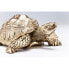 Фото #12 товара Deko Figur Turtle