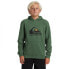 Фото #1 товара QUIKSILVER Big Logo hoodie