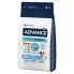 ფოტო #1 პროდუქტის AFFINITY Advance Puppy Protect Mini Chicken & Rice 7kg Dog Food