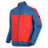 Фото #3 товара REGATTA Clumber II Hybrid jacket