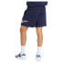 Фото #2 товара REEBOK CLASSICS Proud shorts